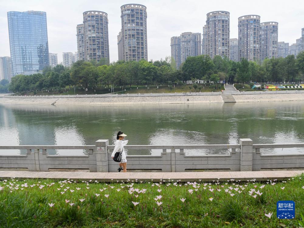天天斗地主免费游戏